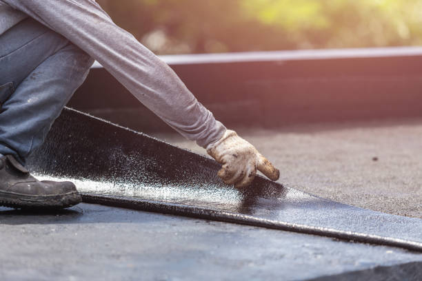 Professional Basement Waterproofing technician working in Rochelle, GA
